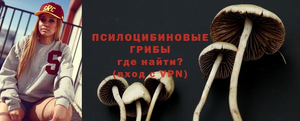 герыч Бородино