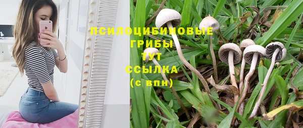 прущая мука Бугульма
