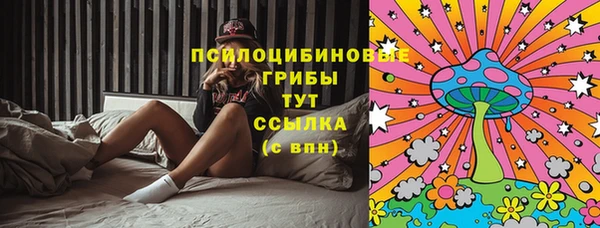 ГАЛЛЮЦИНОГЕННЫЕ ГРИБЫ Богородицк