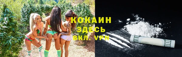 соль ск Ступино