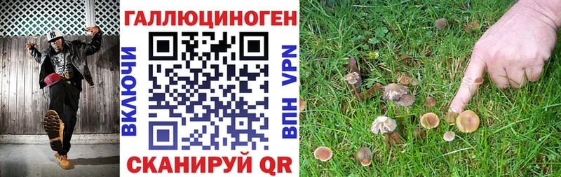 Галлюциногенные грибы GOLDEN TEACHER  Рузаевка 