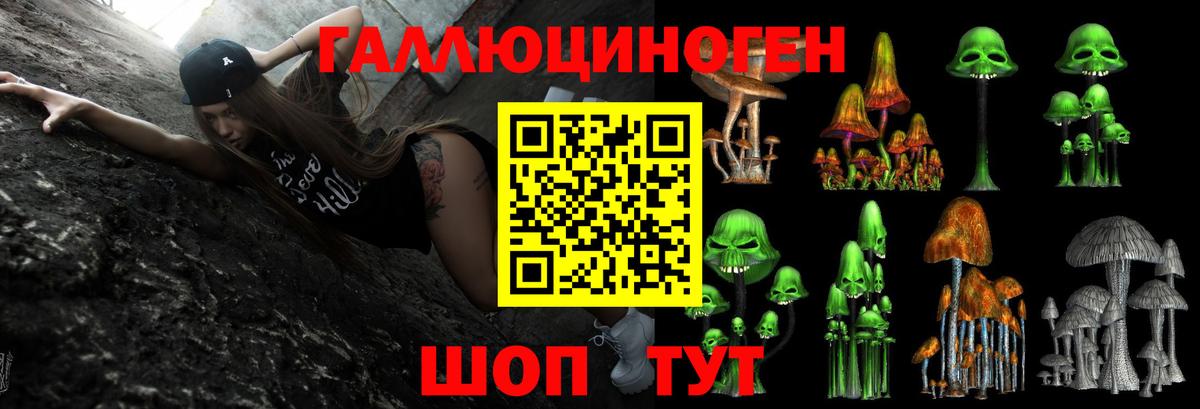 Псилоцибиновые грибы GOLDEN TEACHER Рузаевка